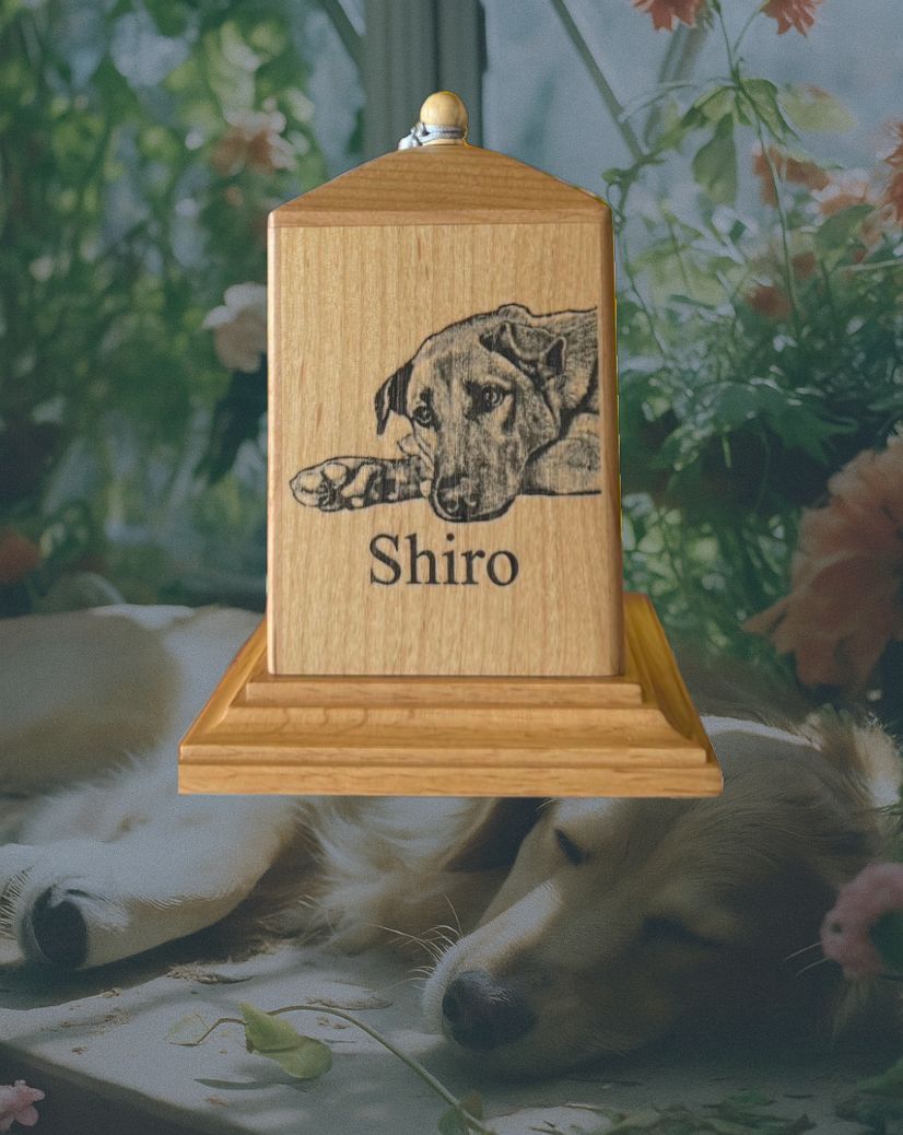 โกฎ/อัฐิ