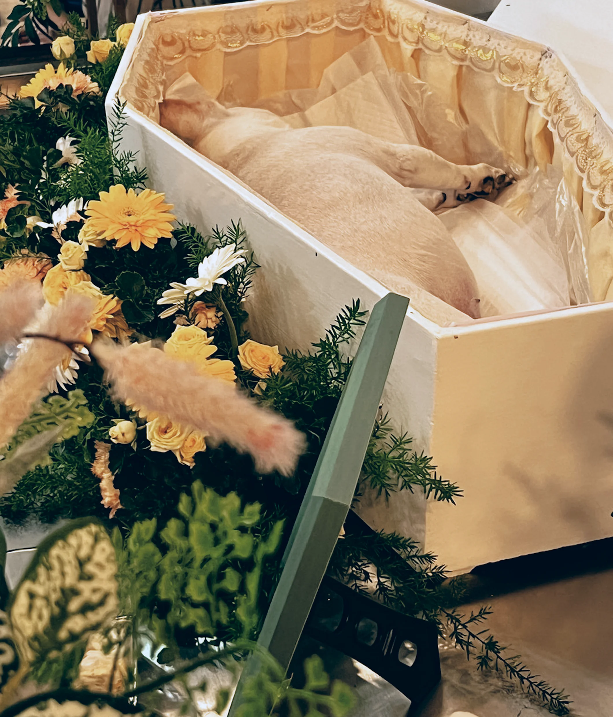 ลานิรันดร์