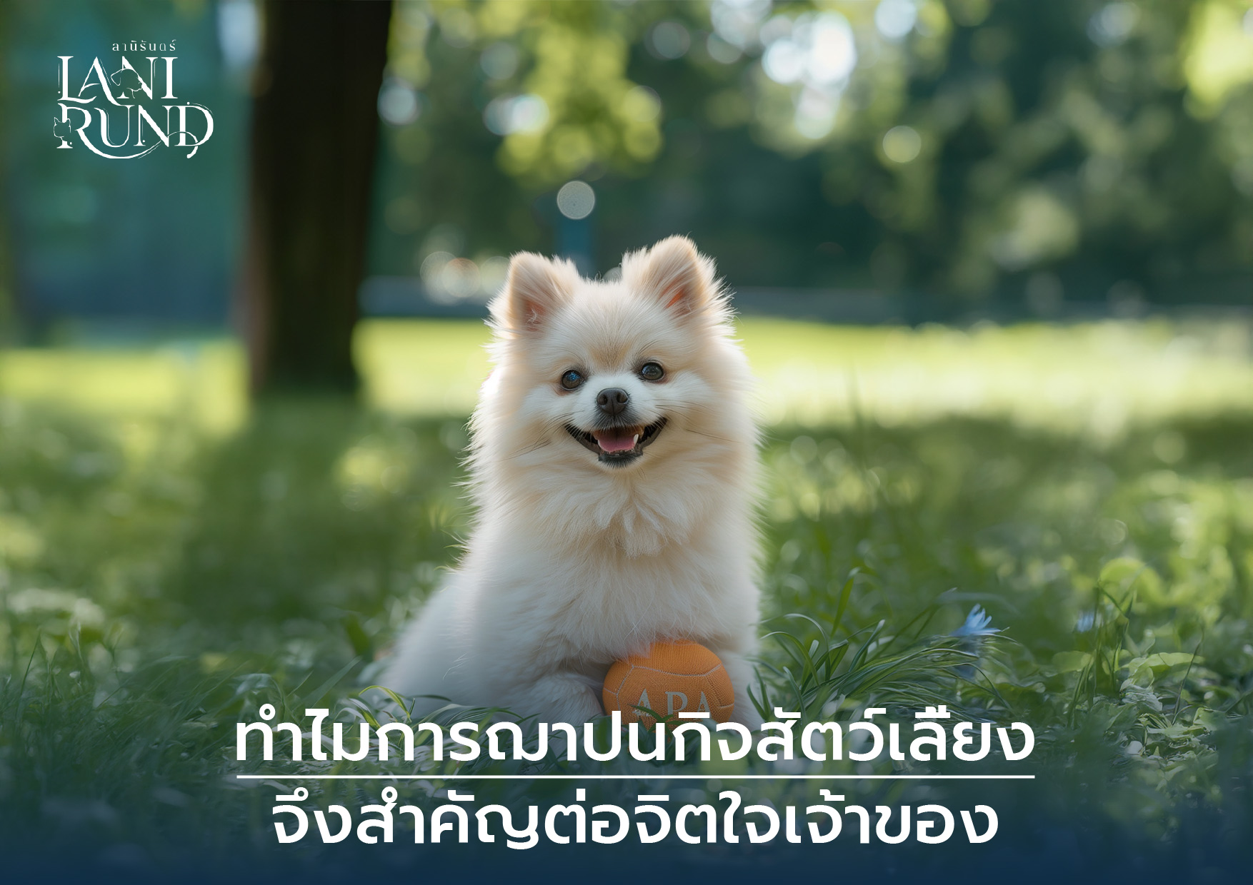 ฌาปนกิจสัตว์เลี้ยง ฌาปนกิจสัตว์เลี้ยง