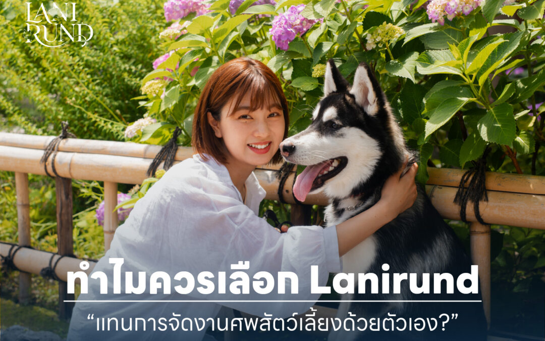 ทำไมควรเลือก Lanirund แทนการจัดงานศพสัตว์เลี้ยงด้วยตัวเอง?