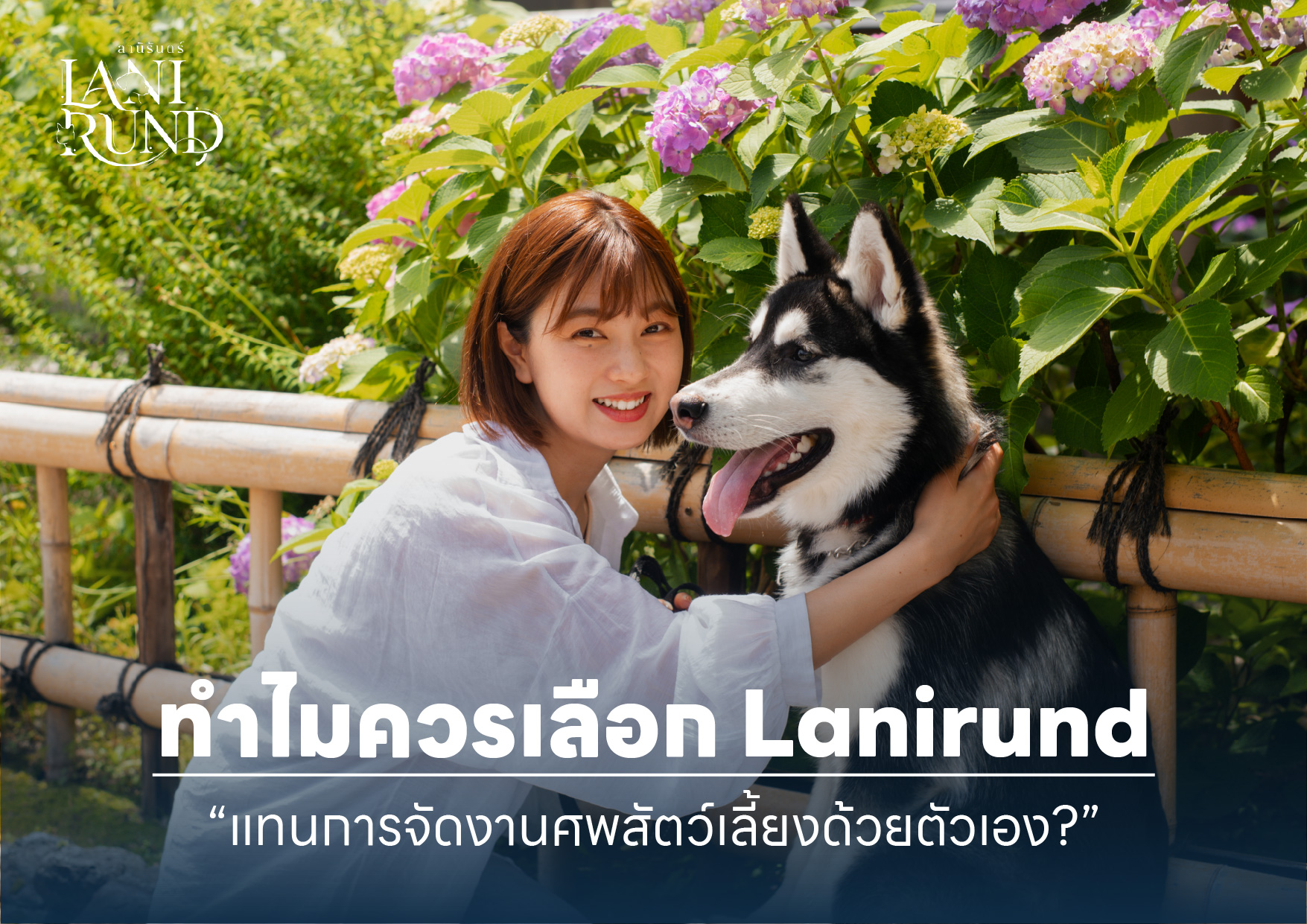 ทำไมควรเลือก Lanirund แทนการจัดงานศพสัตว์เลี้ยงด้วยตัวเอง?