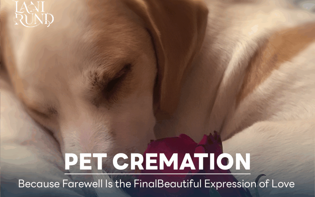 Pet Cremation – Because Farewell Is the Final Beautiful Expression of Love