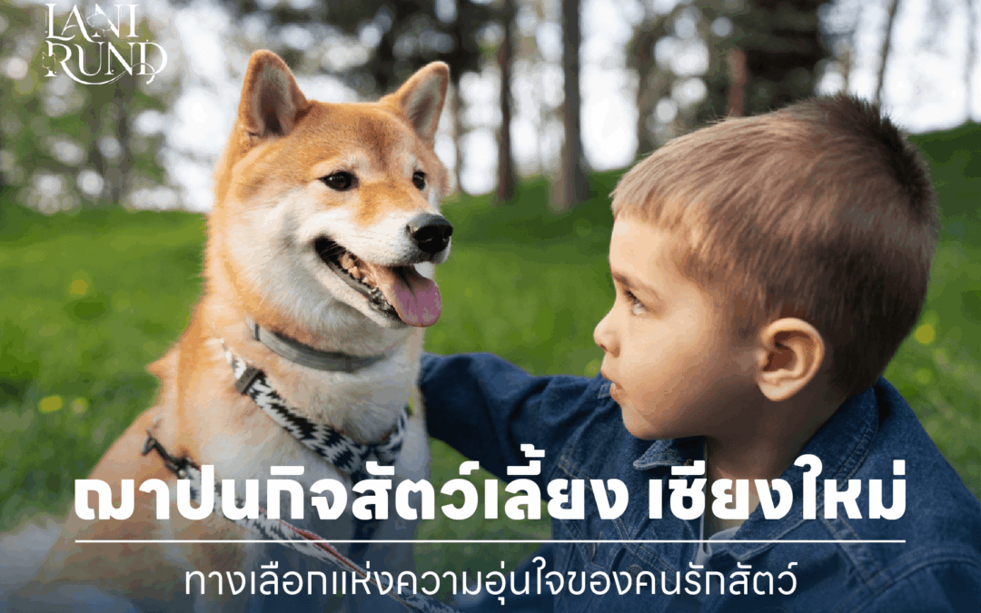 ฌาปนกิจสัตว์เลี้ยง เชียงใหม่ – ทางเลือกแห่งความอุ่นใจของคนรักสัตว์