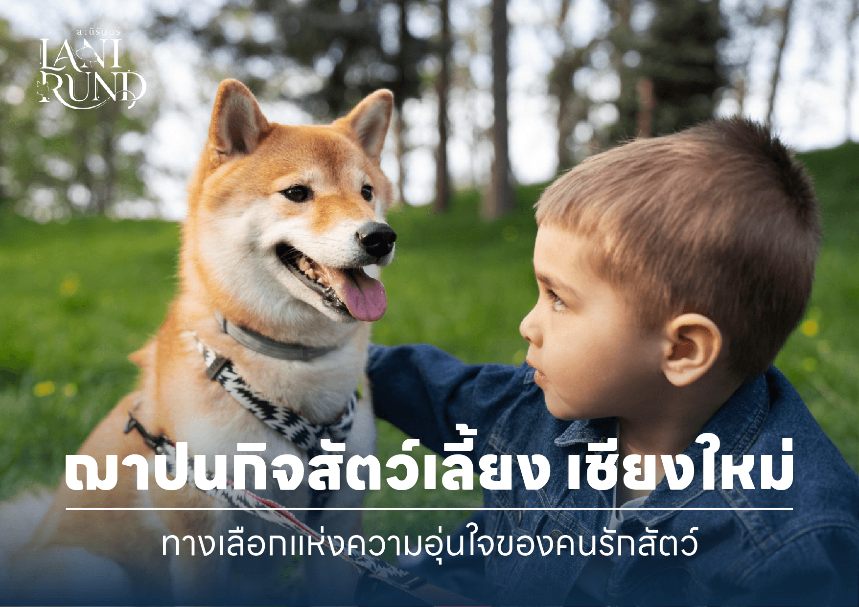 ฌาปนกิจสัตว์เลี้ยง เชียงใหม่ – ทางเลือกแห่งความอุ่นใจของคนรักสัตว์