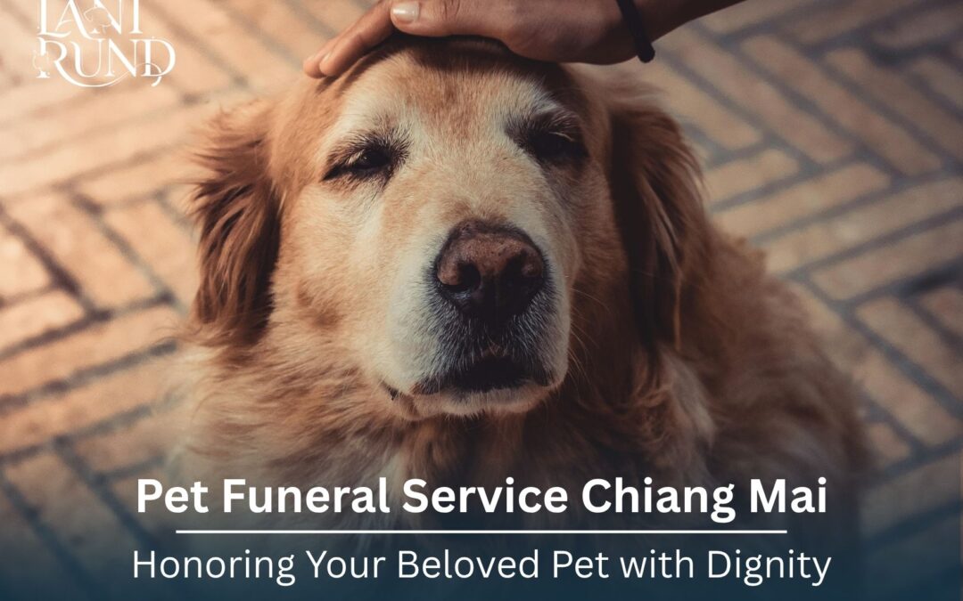 Pet Funeral Service Chiang Mai: Honoring Your Beloved Pet with Dignity and Care
