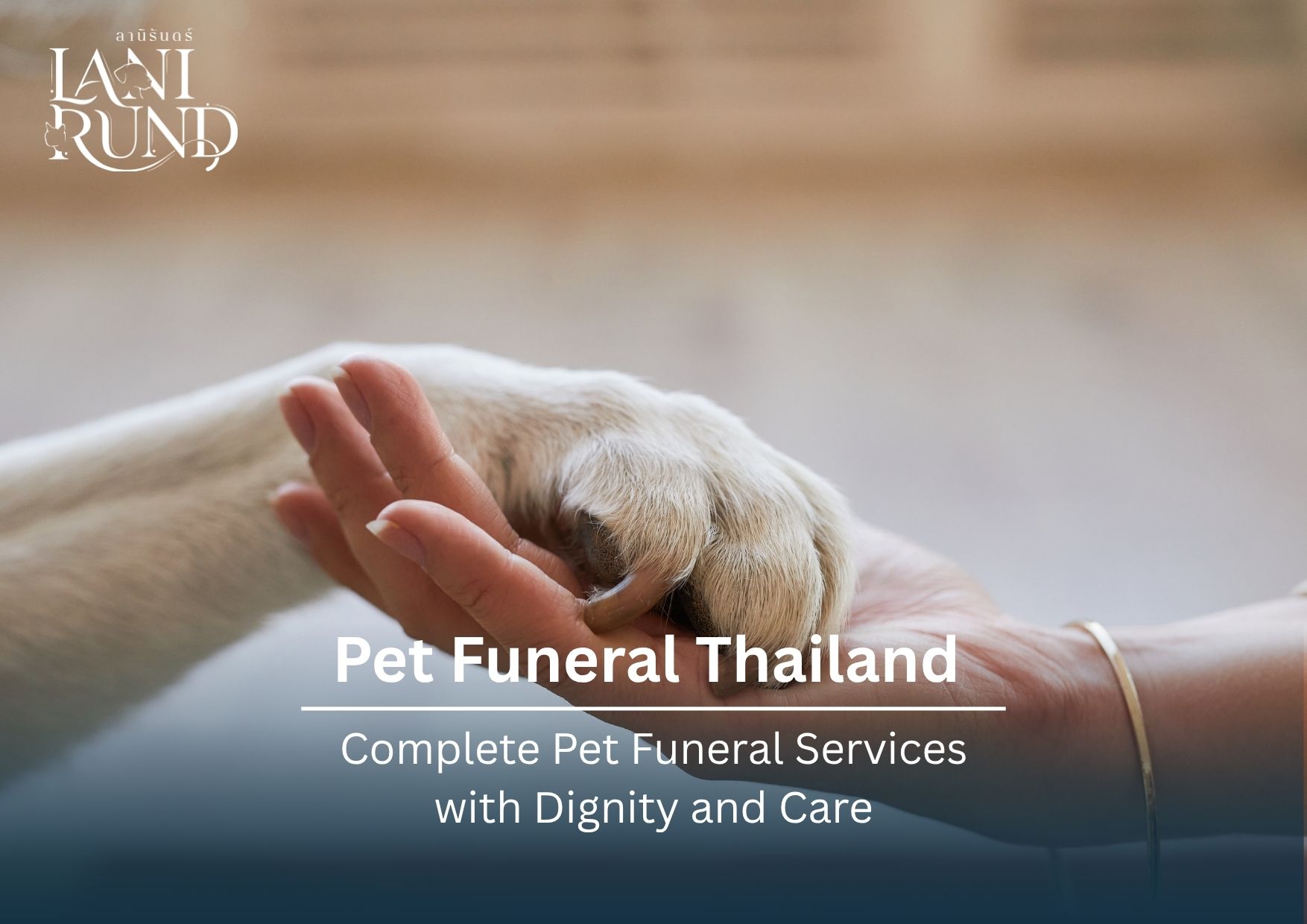 Pet Funeral Thailand Complete Pet Funeral Services with Dignity and Care