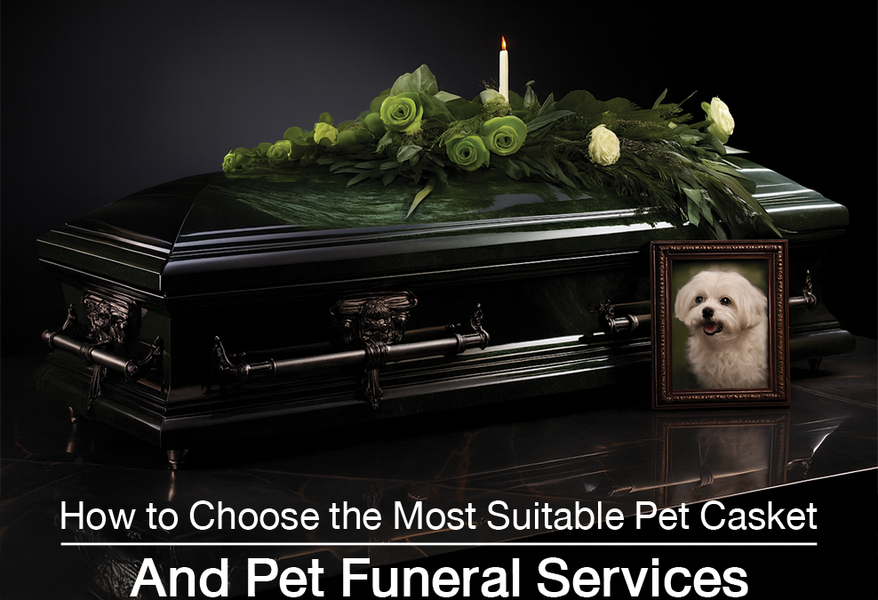 How to Choose the Most Suitable Pet Casket and Pet Funeral Services