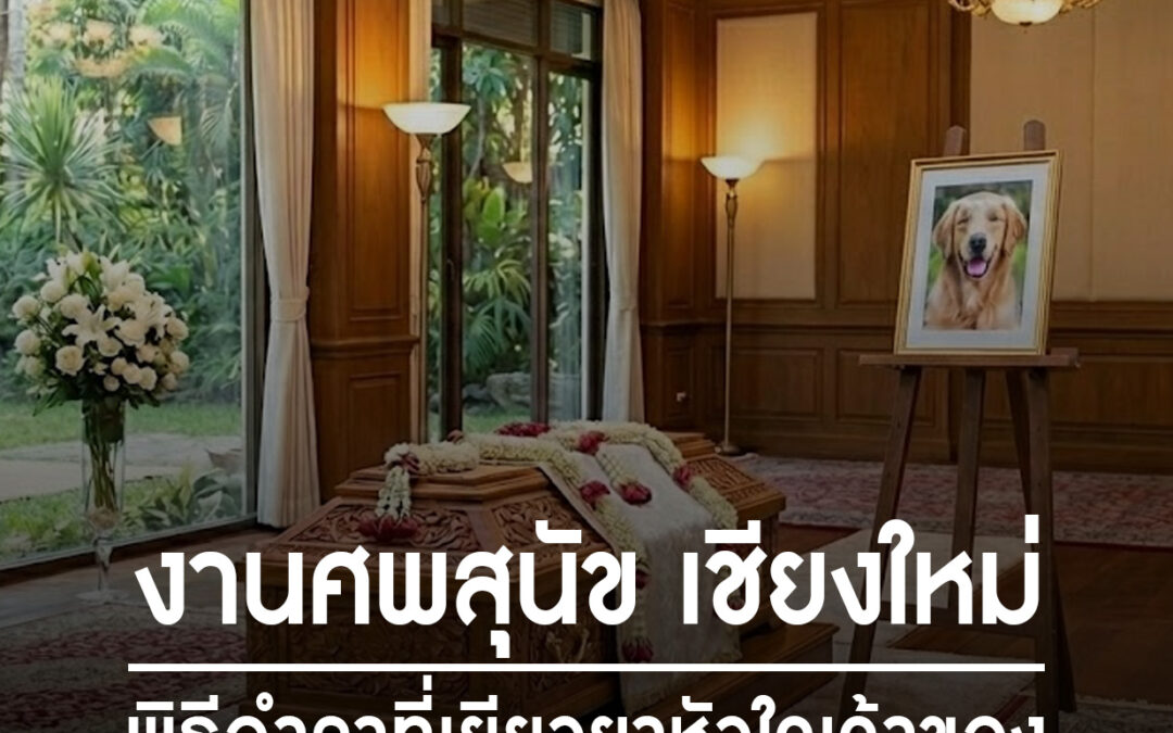 งานศพสุนัข เชียงใหม่ พิธีอำลาที่เยียวยาหัวใจเจ้าของ