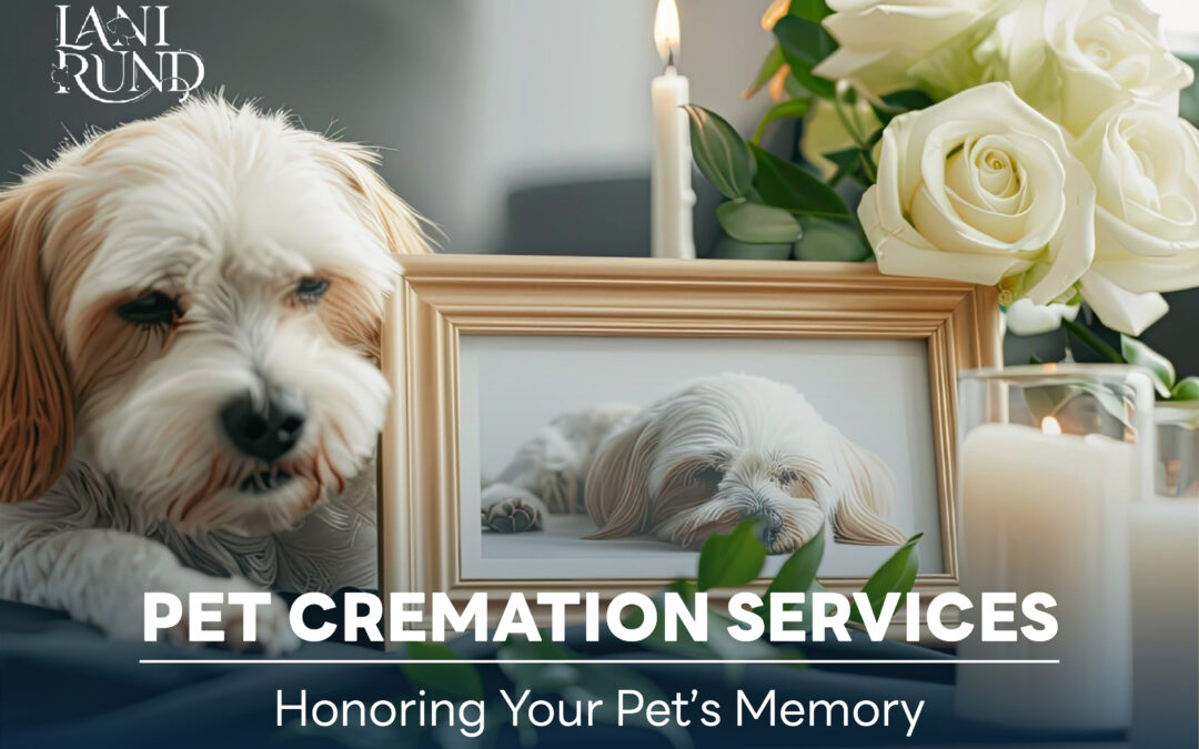 Pet Cremation Services Honoring Your Pet’s Memory