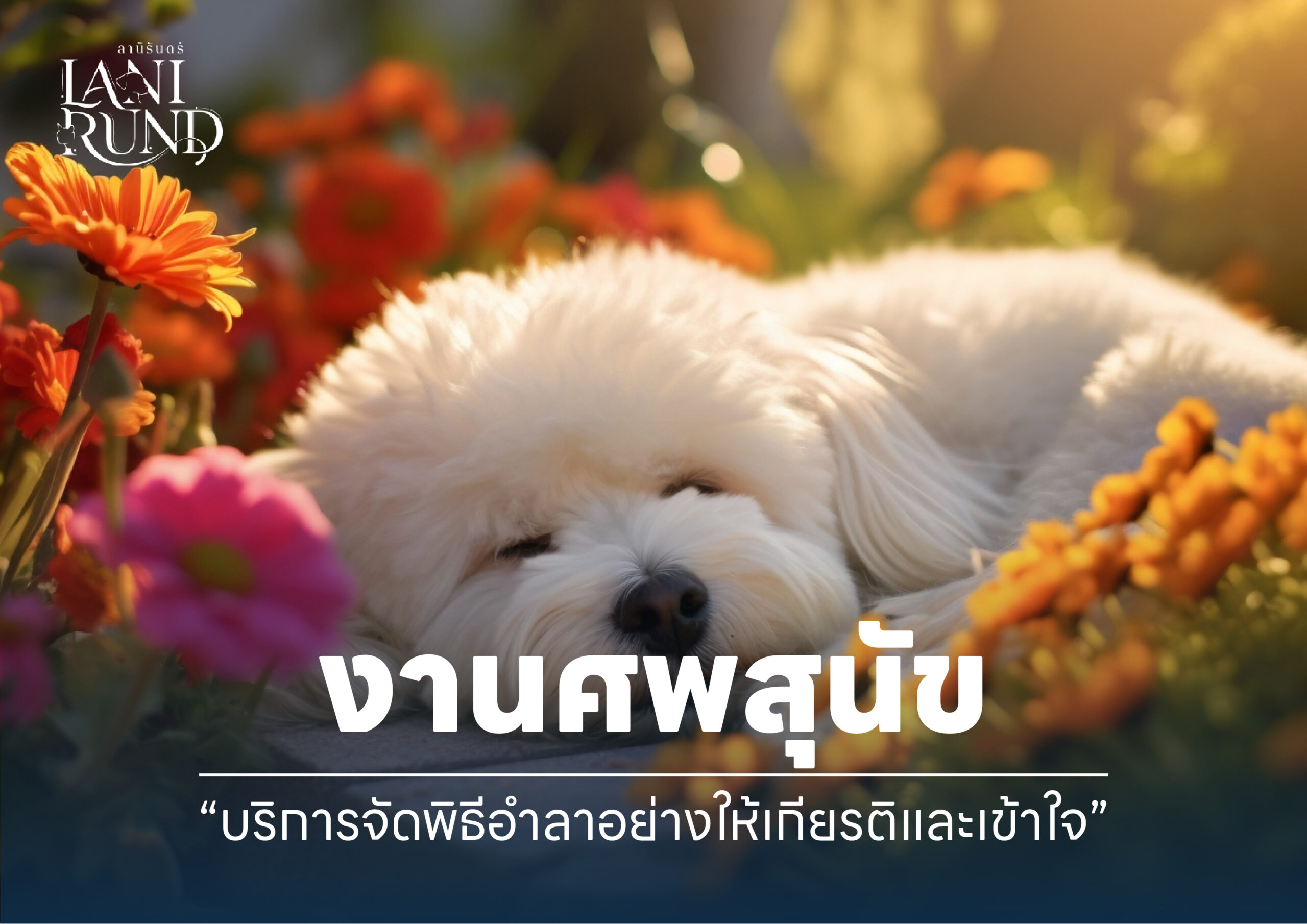 งานศพสุนัข บริการจัดพิธีอำลาอย่างให้เกียรติและเข้าใจ