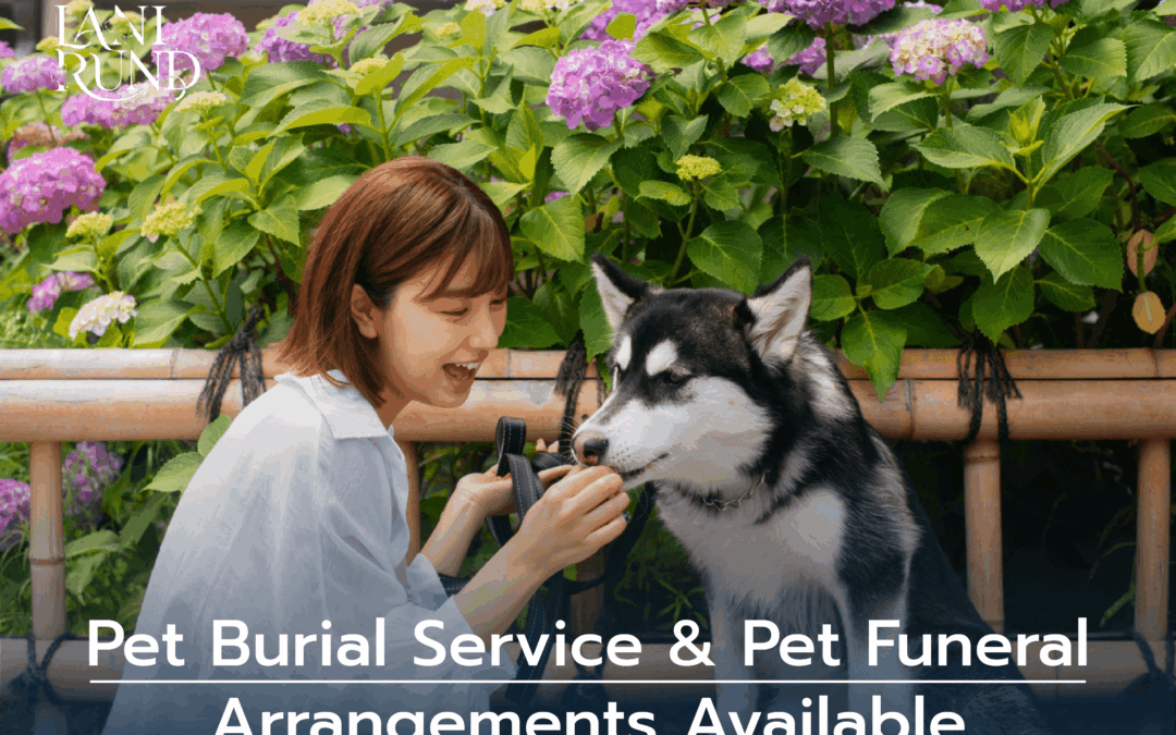 Pet Burial Service & Pet Funeral Arrangements Available