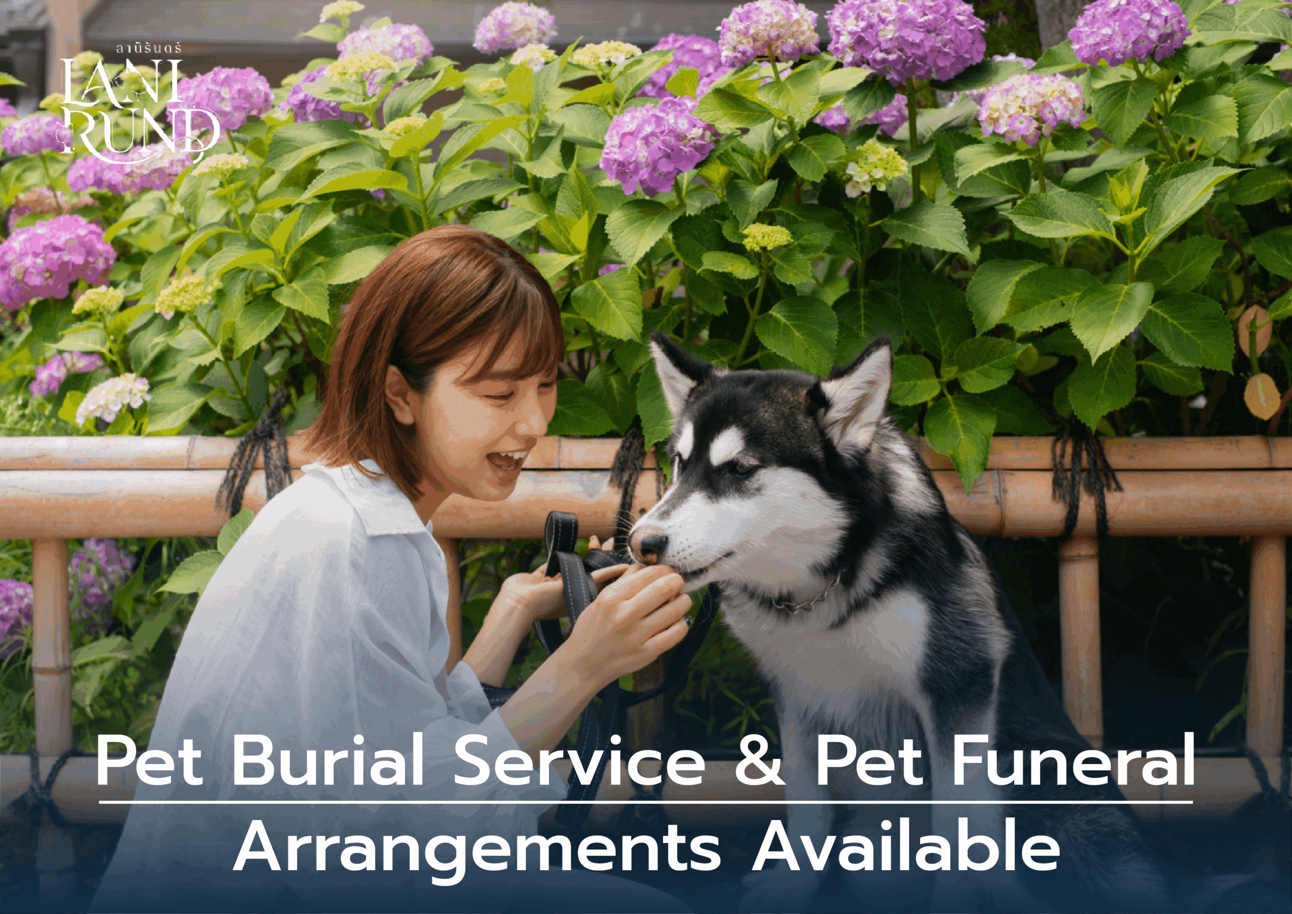 Pet Burial Service & Pet Funeral Arrangements Available