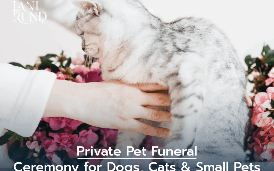 Private Pet Funeral Ceremony for Dogs, Cats & Small Pets