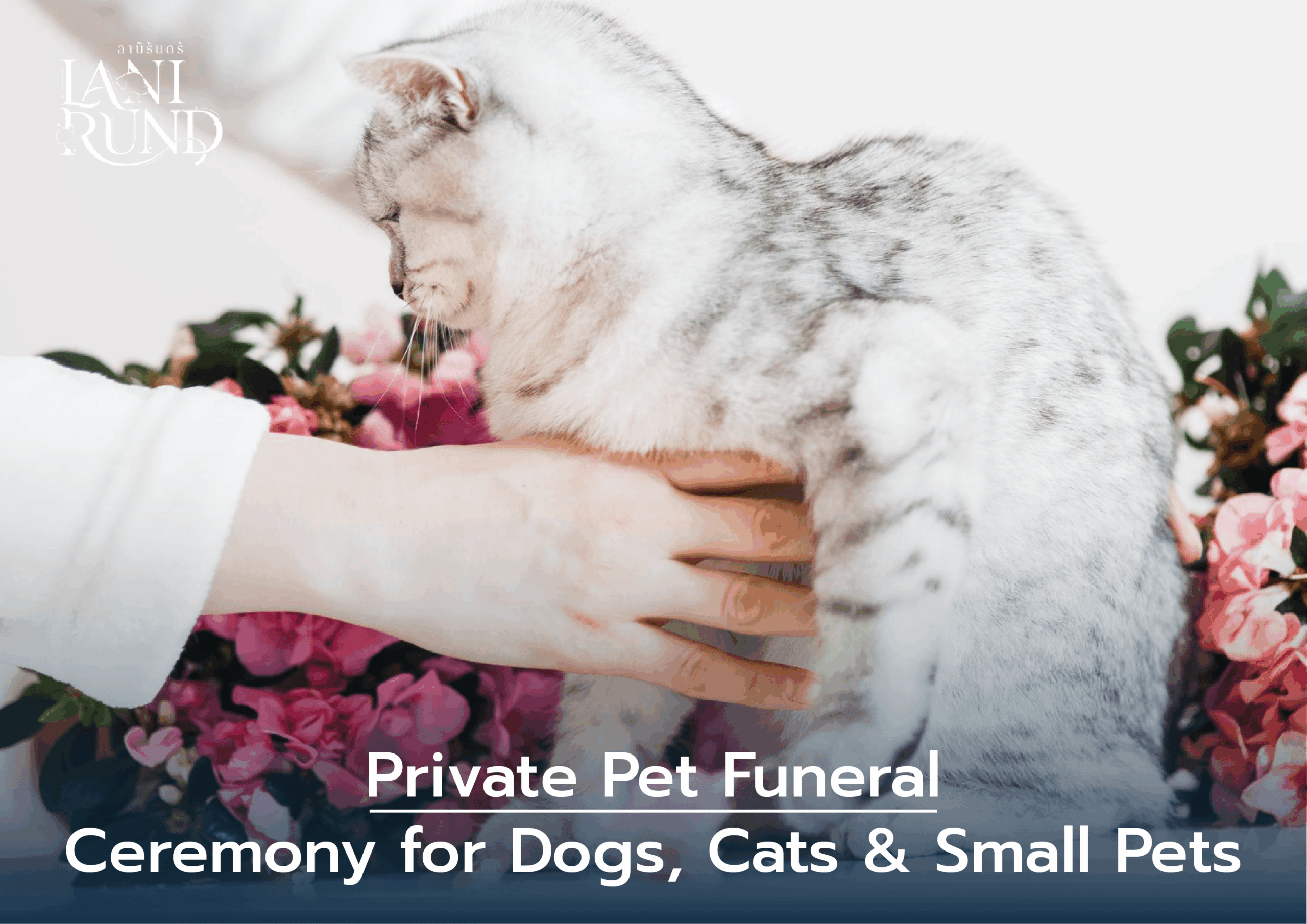 Private Pet Funeral Ceremony for Dogs, Cats & Small Pets