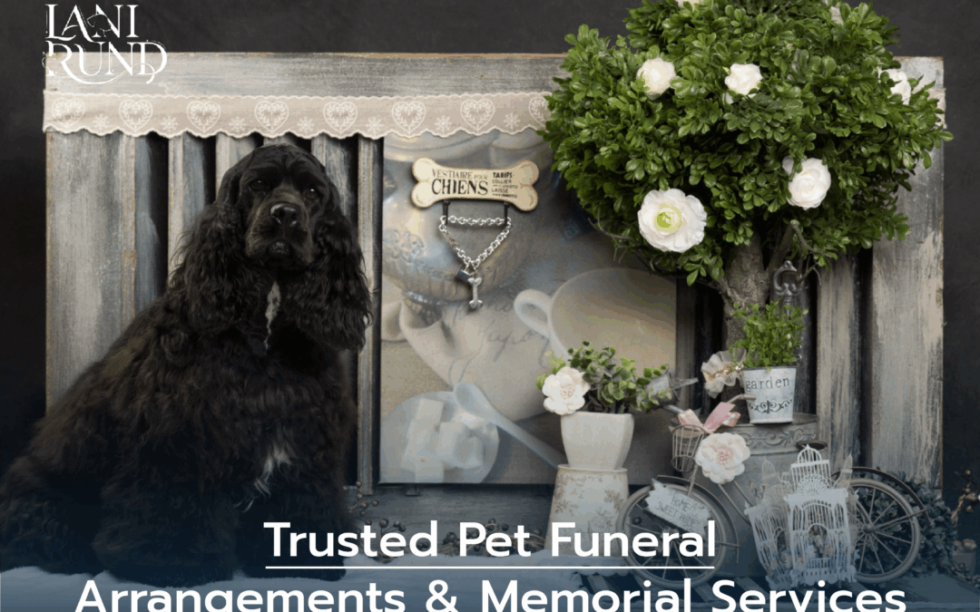 Trusted Pet Funeral Arrangements & Memorial Services