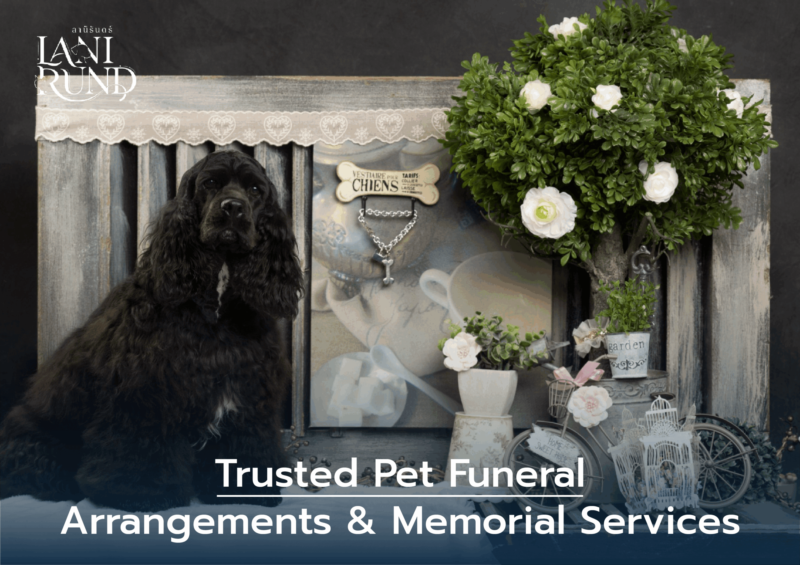 Trusted Pet Funeral Arrangements & Memorial Services