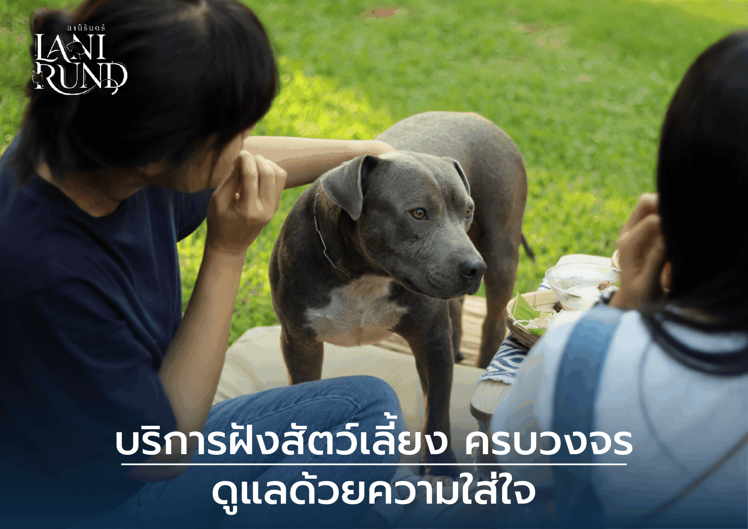 บริการฝังสัตว์เลี้ยง ครบวงจร ดูแลด้วยความใส่ใจ