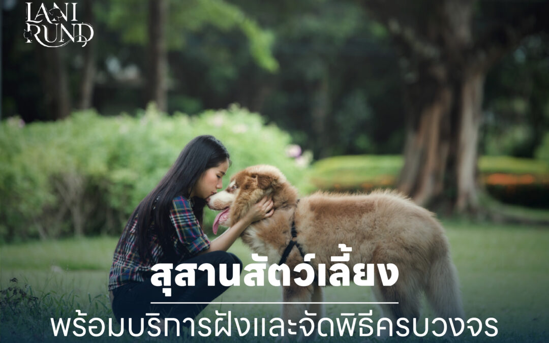 สุสานสัตว์เลี้ยง พร้อมบริการฝังและจัดพิธีครบวงจร