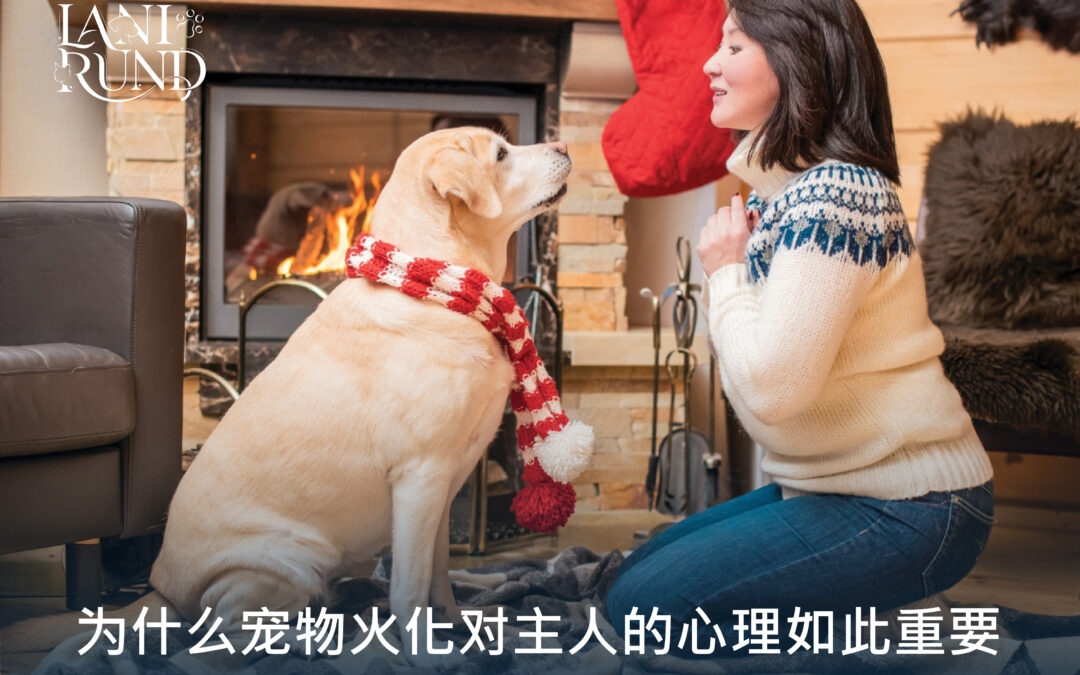 为什么宠物火化对主人的心理如此重要