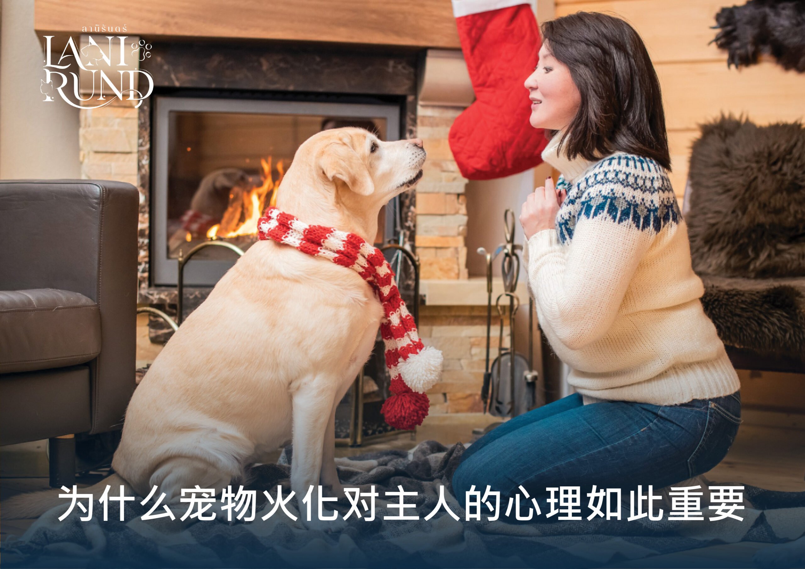为什么宠物火化对主人的心理如此重要
