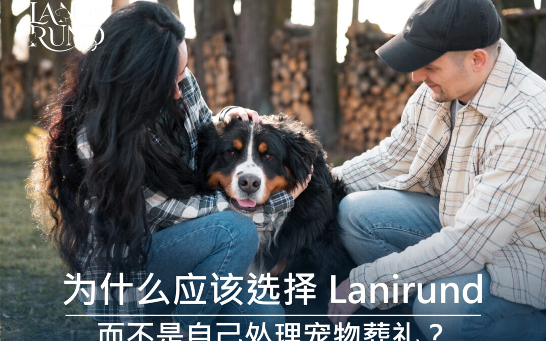为什么应该选择 Lanirund，而不是自己处理宠物葬礼?