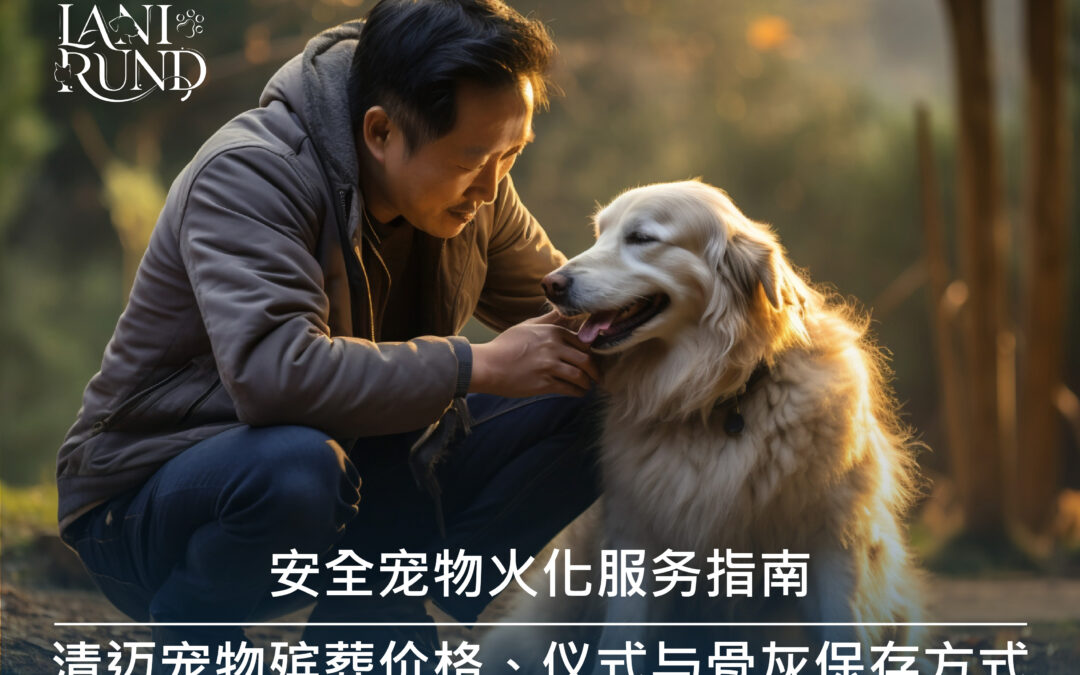安全宠物火化服务指南：清迈宠物殡葬价格、仪式与骨灰保存方式