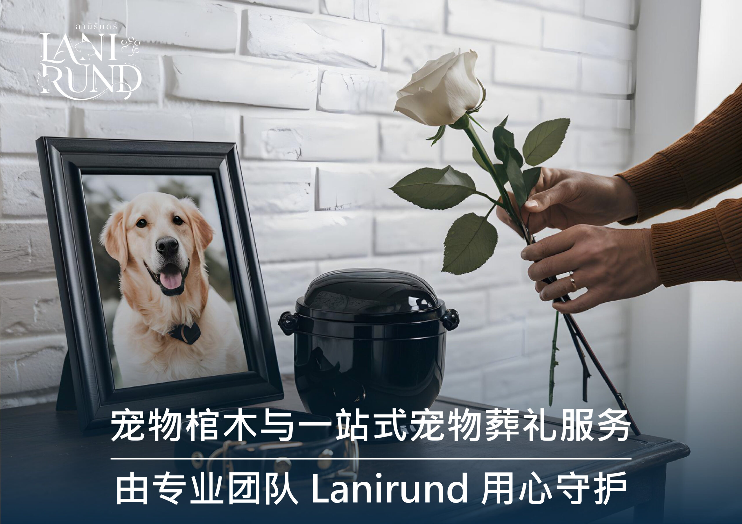 宠物棺木与一站式宠物葬礼服务|由专业团队 Lanirund 用心守护