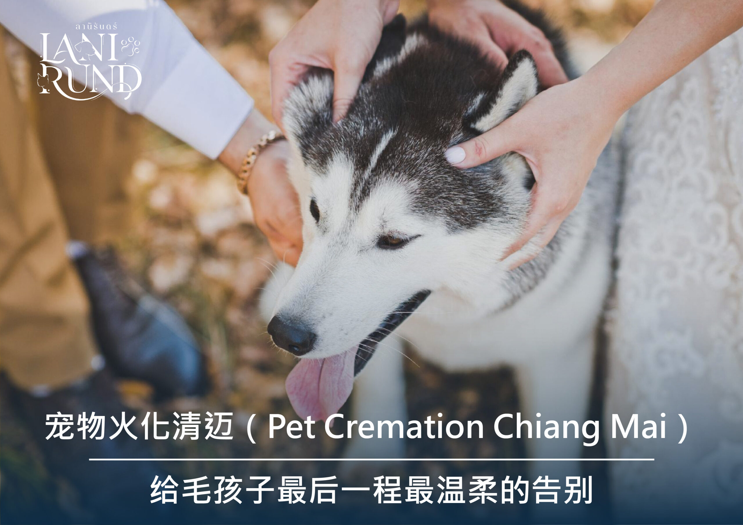 宠物火化清迈(Pet Cremation Chiang Mai)— 给毛孩子最后一程最温柔的告别