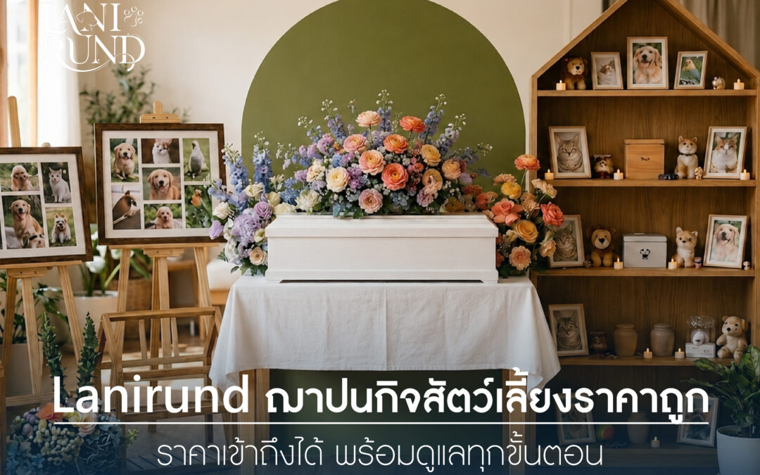 Lanirund ฌาปนกิจสัตว์เลี้ยงราคาถูก ราคาเข้าถึงได้ พร้อมดูแลทุกขั้นตอน