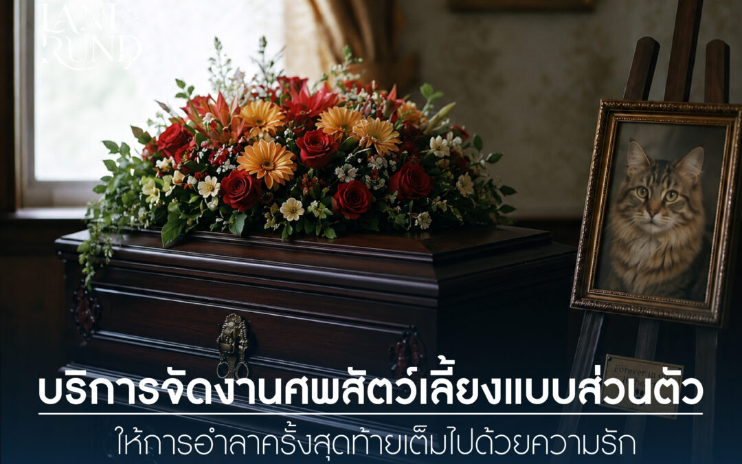 บริการจัดงานศพสัตว์เลี้ยงแบบส่วนตัว ให้การอำลาครั้งสุดท้ายเต็มไปด้วยความรัก