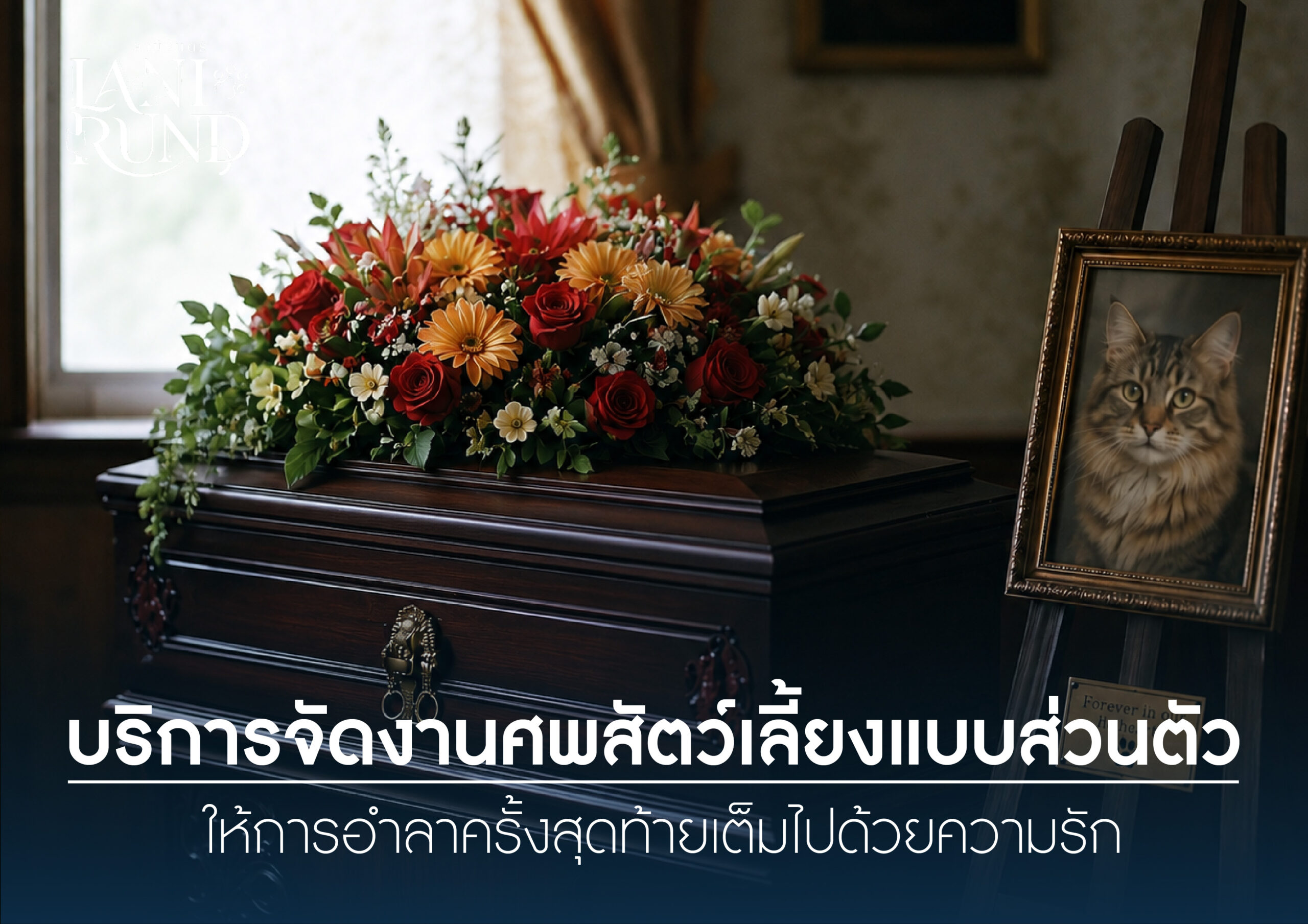 บริการจัดงานศพสัตว์เลี้ยงแบบส่วนตัว ให้การอำลาครั้งสุดท้ายเต็มไปด้วยความรัก