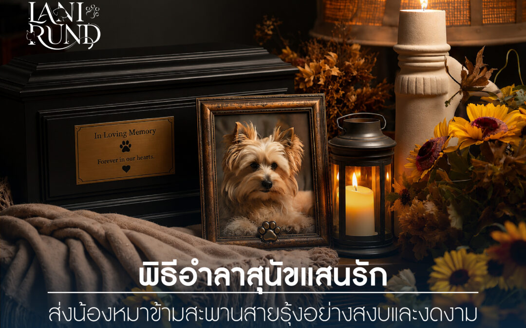พิธีอำลาสุนัขแสนรัก ส่งน้องหมาข้ามสะพานสายรุ้งอย่างสงบและงดงาม