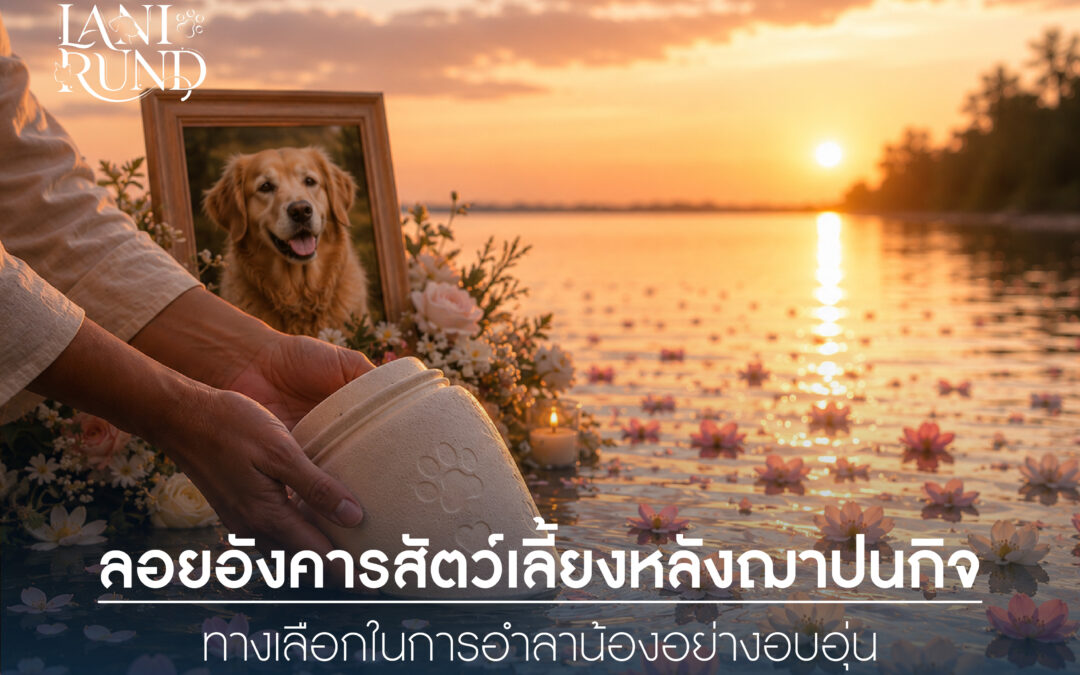 ลอยอังคารสัตว์เลี้ยง เชียงใหม่ บริการสำหรับสัตว์เลี้ยงทุกชนิด