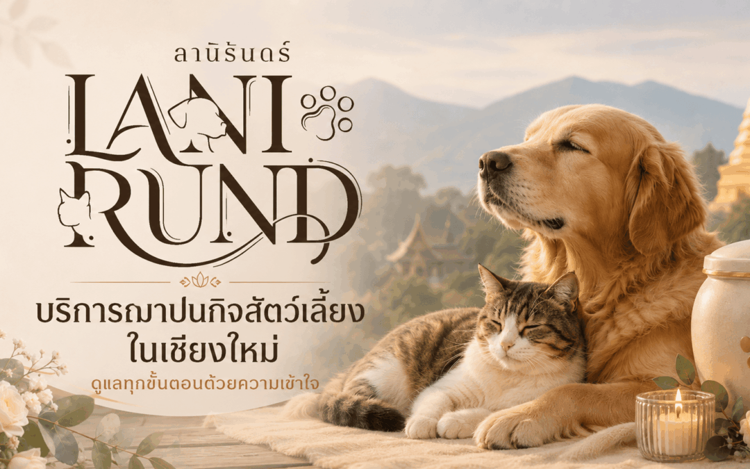 Lanirund บริการฌาปนกิจสัตว์เลี้ยงในเชียงใหม่ ดูแลทุกขั้นตอนด้วยความเข้าใจ