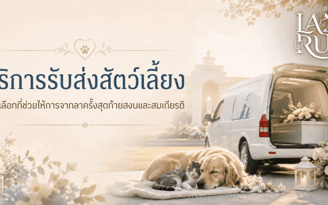 บริการรับส่งสัตว์เลี้ยง ทางเลือกที่ช่วยให้การจากลาครั้งสุดท้ายสงบและสมเกียรติ