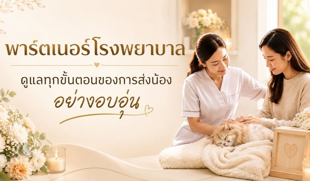 พาร์ตเนอร์โรงพยาบาล ดูแลทุกขั้นตอนของการส่งน้องอย่างอบอุ่น