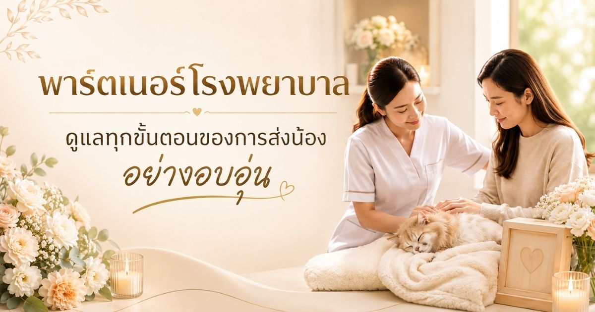 พาร์ตเนอร์โรงพยาบาล ดูแลทุกขั้นตอนของการส่งน้องอย่างอบอุ่น