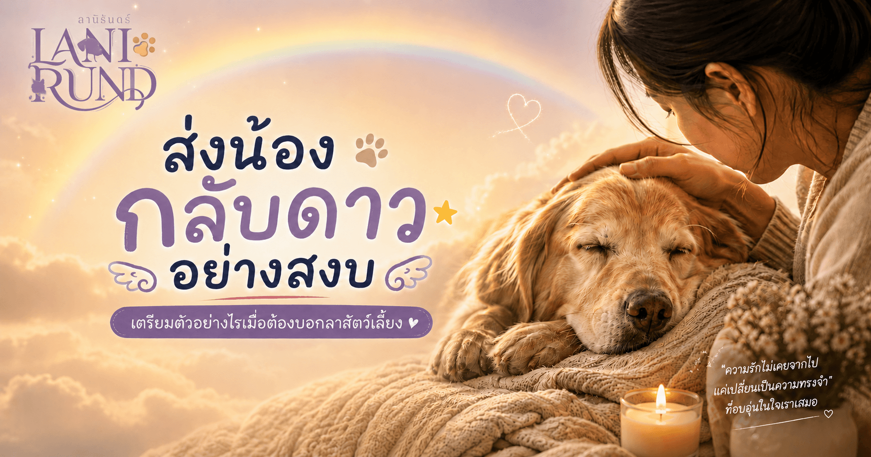 ส่งน้องกลับดาวอย่างสงบ เตรียมตัวอย่างไรเมื่อต้องบอกลาสัตว์เลี้ยง