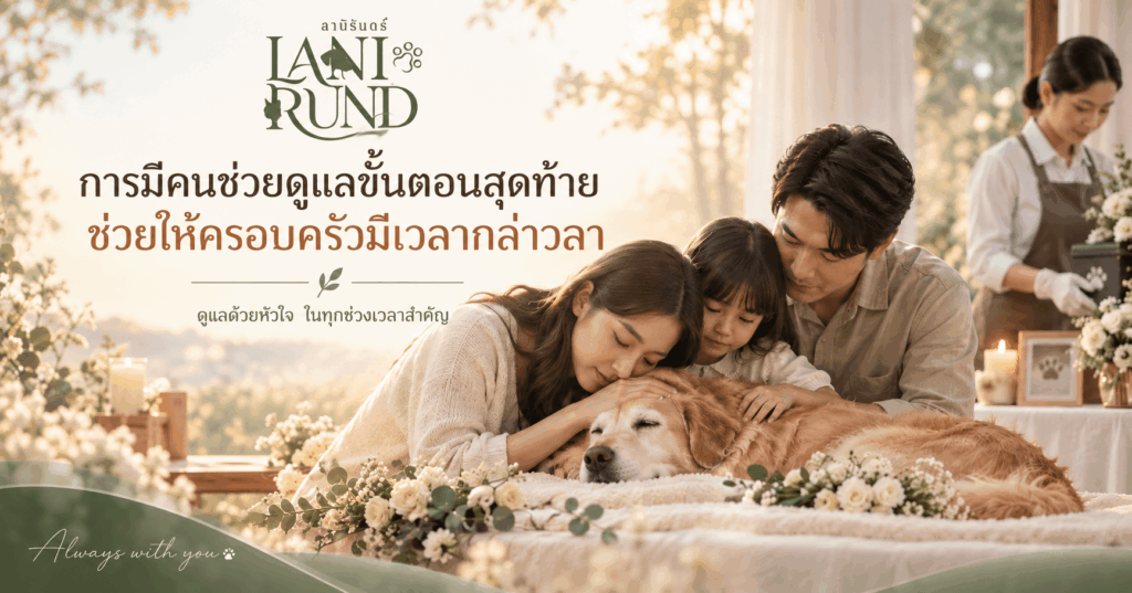 คนช่วยดูแลขั้นตอนสุดท้าย