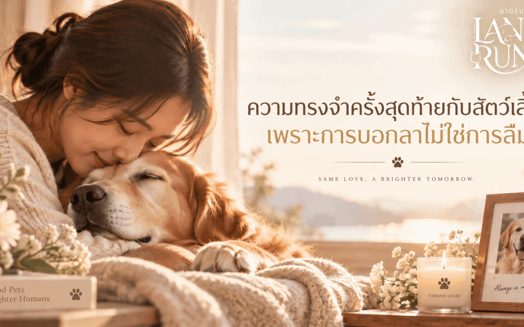 ความทรงจำครั้งสุดท้ายกับสัตว์เลี้ยง เพราะการบอกลาไม่ใช่การลืม