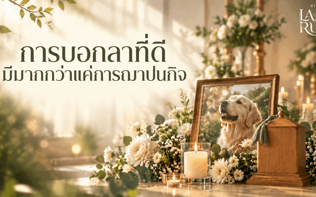 ฌาปนกิจสัตว์เลี้ยงครบวงจร เพราะการบอกลาที่ดีมีมากกว่าแค่การฌาปนกิจ