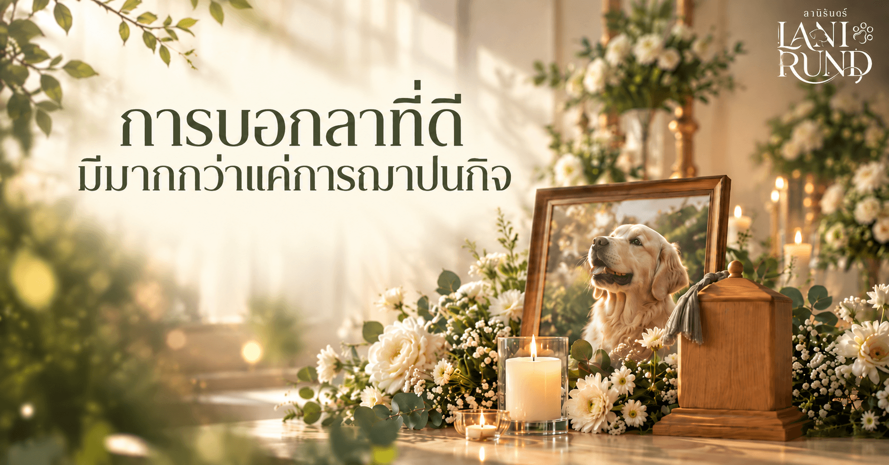 ฌาปนกิจสัตว์เลี้ยงครบวงจร เพราะการบอกลาที่ดีมีมากกว่าแค่การฌาปนกิจ