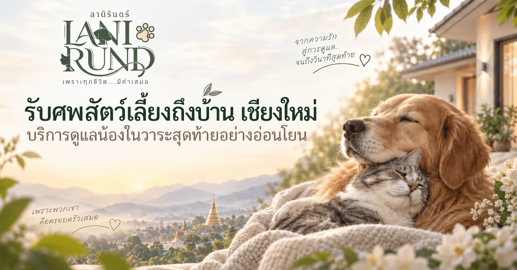 รับศพสัตว์เลี้ยงถึงบ้าน เชียงใหม่ บริการดูแลน้องในวาระสุดท้ายอย่างอ่อนโยน