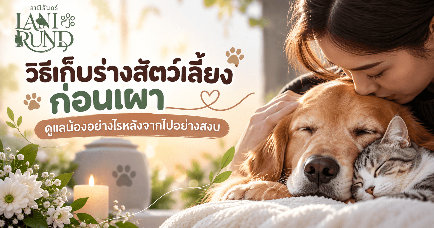 วิธีเก็บร่างสัตว์เลี้ยงก่อนเผา ดูแลน้องอย่างไรหลังจากไปอย่างสงบ