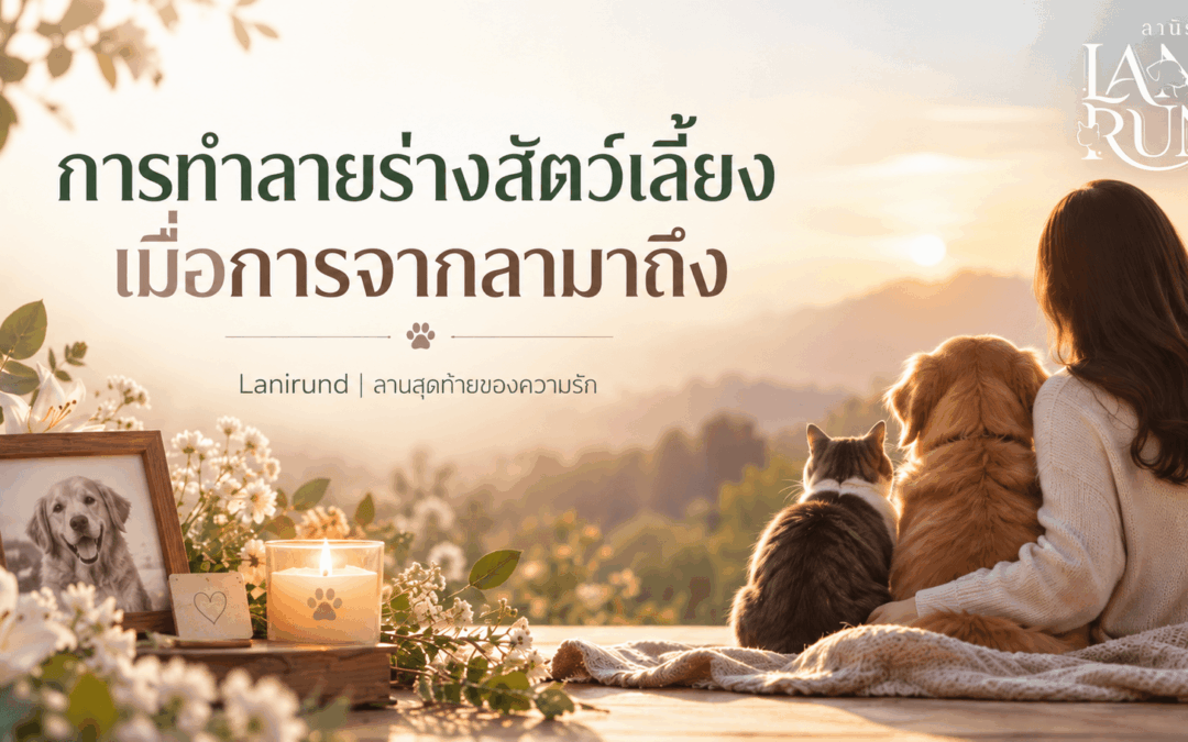 การทำลายร่างสัตว์เลี้ยง อย่างเหมาะสม พร้อมแนวทางส่งความรักครั้งสุดท้าย