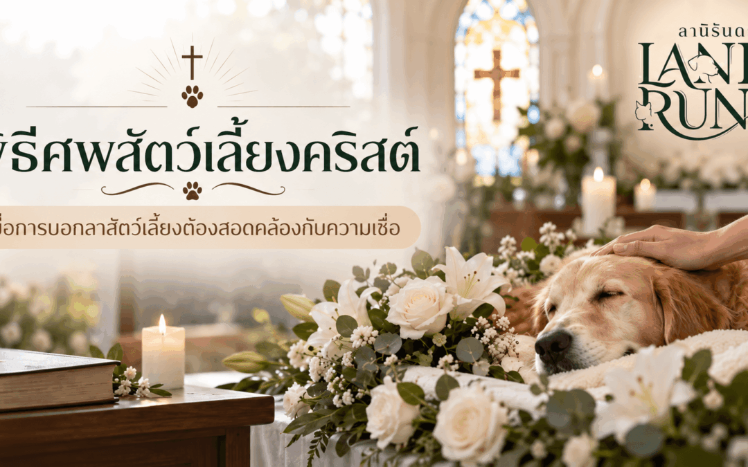 พิธีศพสัตว์เลี้ยงคริสต์ จัดได้ไหม? เมื่อการบอกลาสัตว์เลี้ยงต้องสอดคล้องกับความเชื่อ