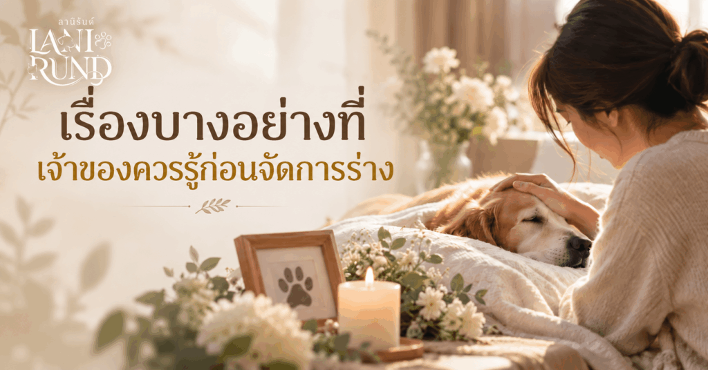 สิ่งที่เจ้าของควรรู้ก่อนจัดการร่างสัตว์เลี้ยงหลังเสียชีวิต และการเตรียมตัวอำลาอย่างอ่อนโยน
