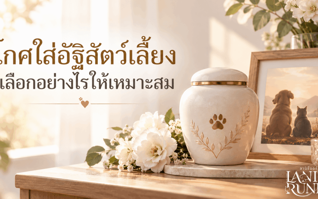 โกศใส่อัฐิสัตว์เลี้ยง เลือกอย่างไรให้เหมาะสม เพื่อเก็บความทรงจำของน้องตลอดไป